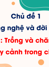 Chủ đề 1 - Bài 7. Trồng và chăm sóc cây cảnh trong chậu